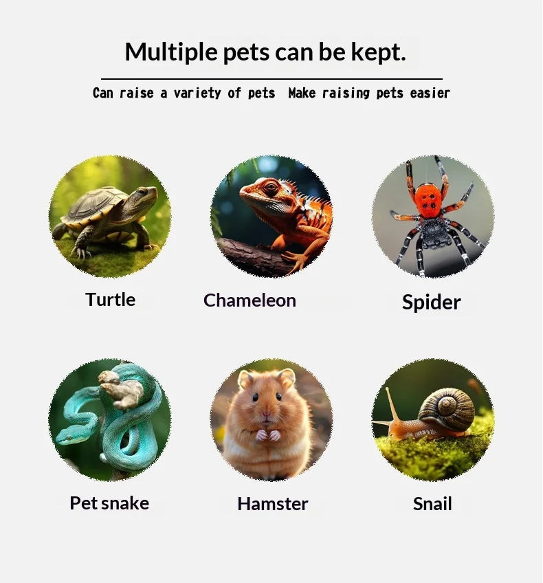 Mini Plastic Reptile Terrarium Enclosure 19x12.5x7.5cm