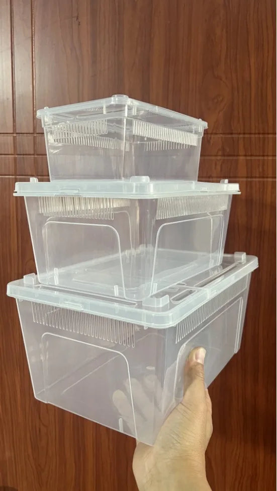 Simple Plastic Reptile Breeding Box Terrarium 20x20x25cm