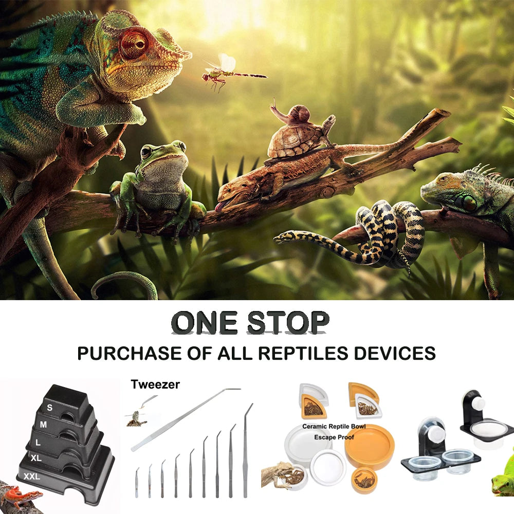 Transparent Plastic Reptile Feeding Box Portable Terrarium Habitat Cage