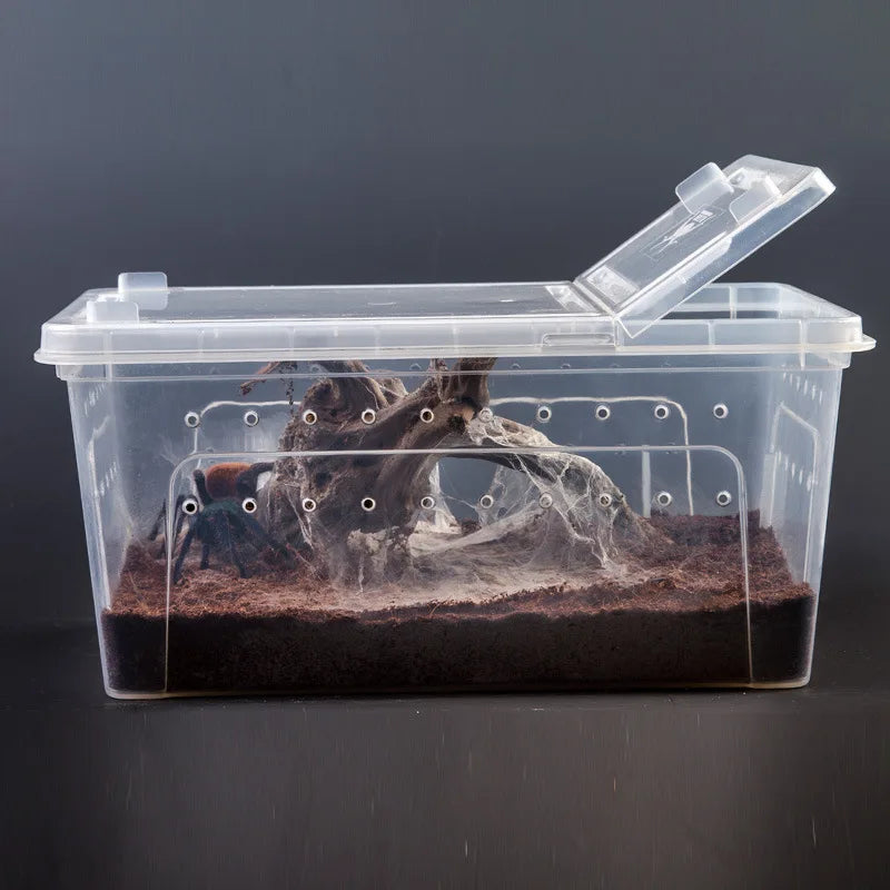 Simple Plastic Reptile Breeding Box Terrarium 20x20x25cm