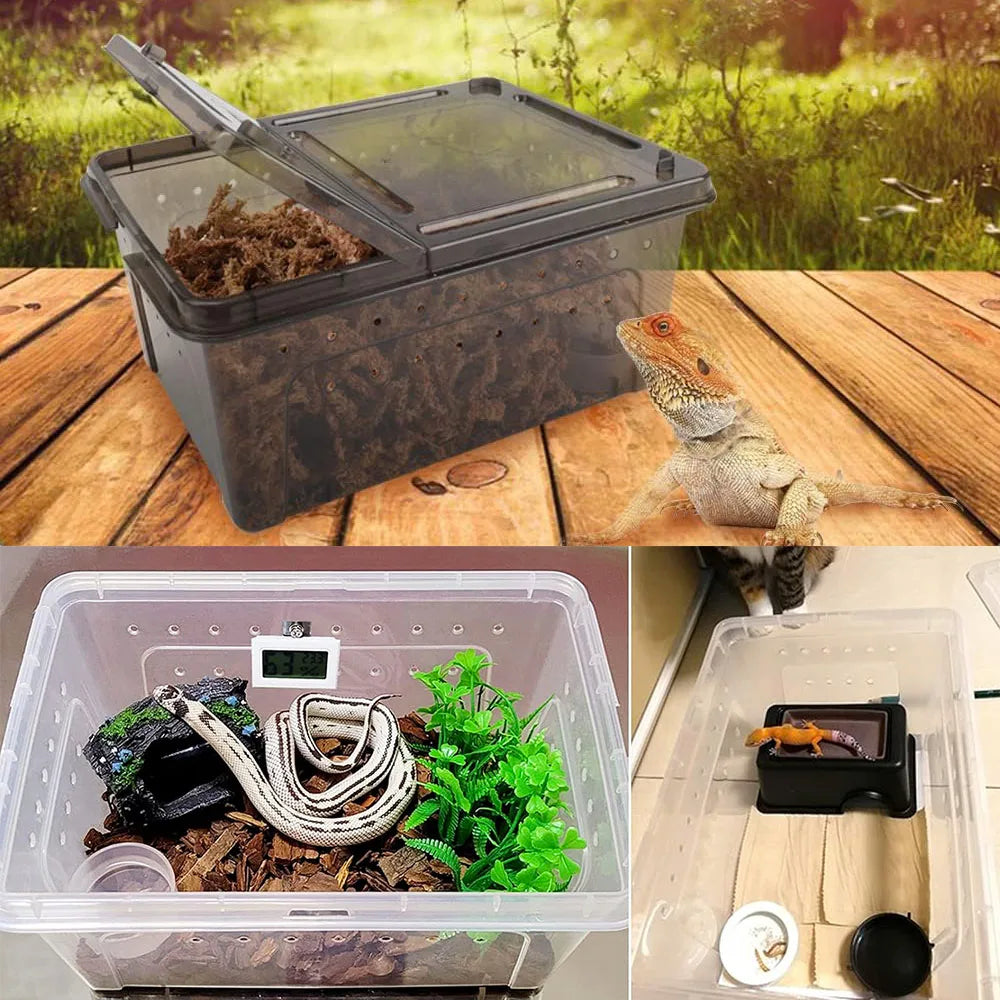 Transparent Plastic Reptile Feeding Box Portable Terrarium Habitat Cage