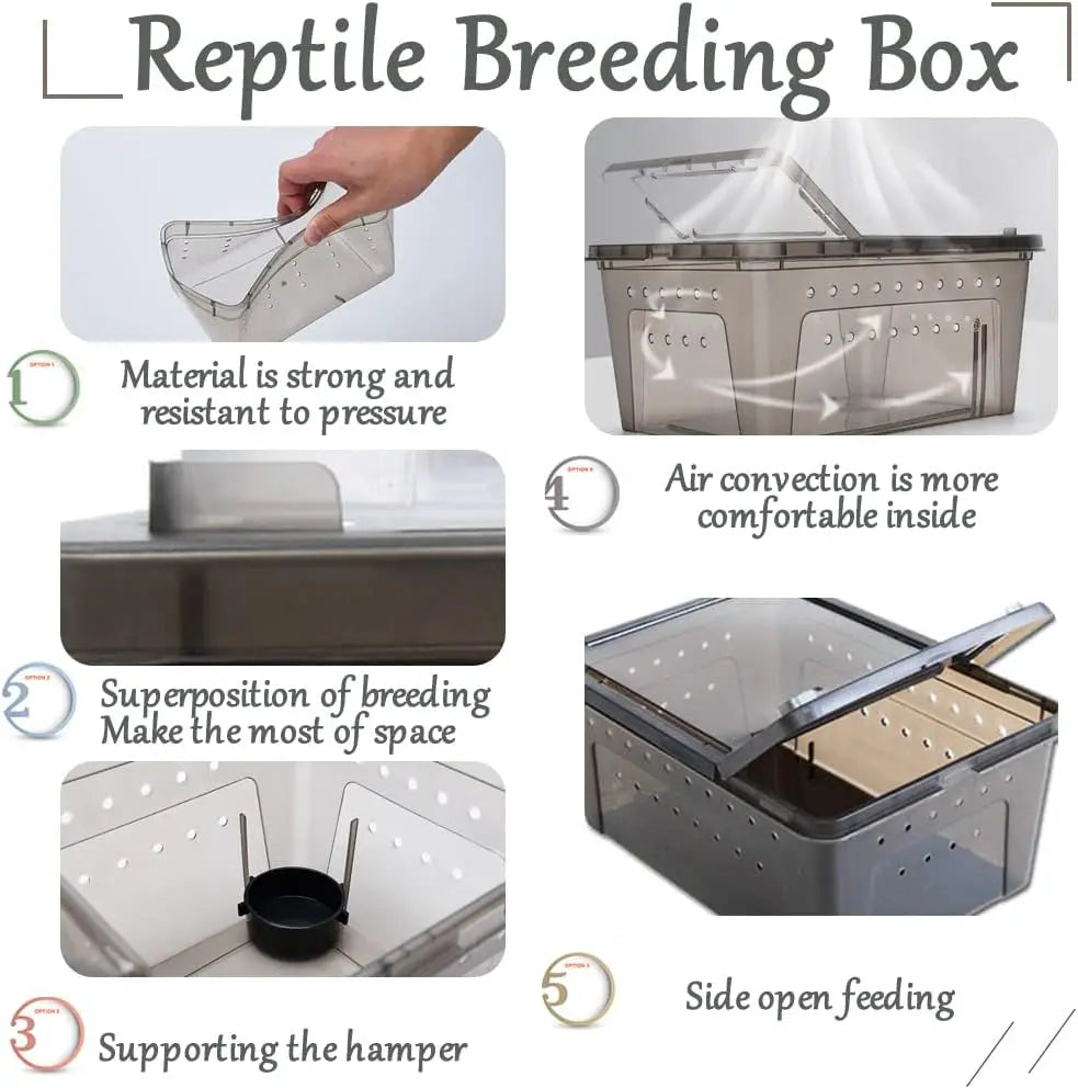 Transparent Plastic Reptile Feeding Box Portable Terrarium Habitat Cage