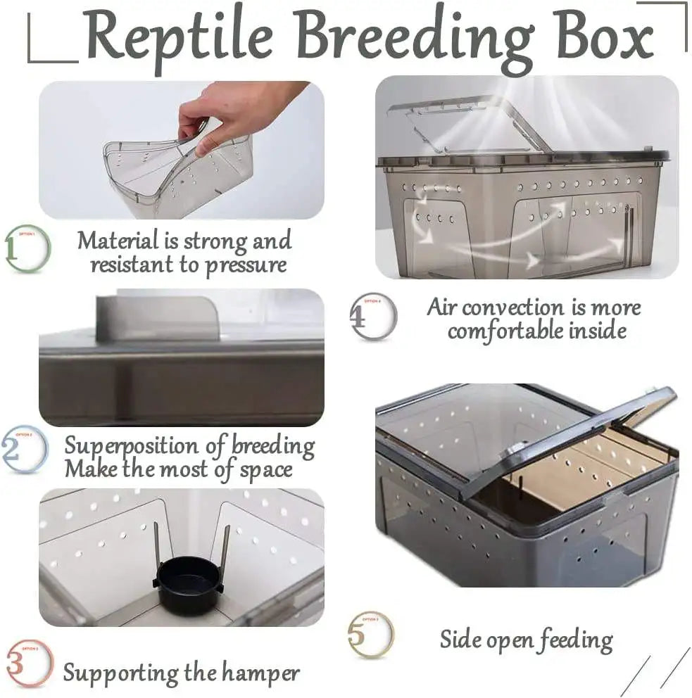 Stackable Reptile Plastic Ventilated Box Small Breeding Box for Tarantulas Hermit Crabs
