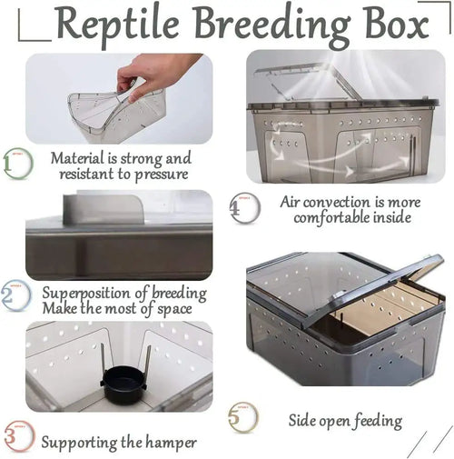 Stackable Reptile Plastic Ventilated Box Small Breeding Box for Tarantulas Hermit Crabs