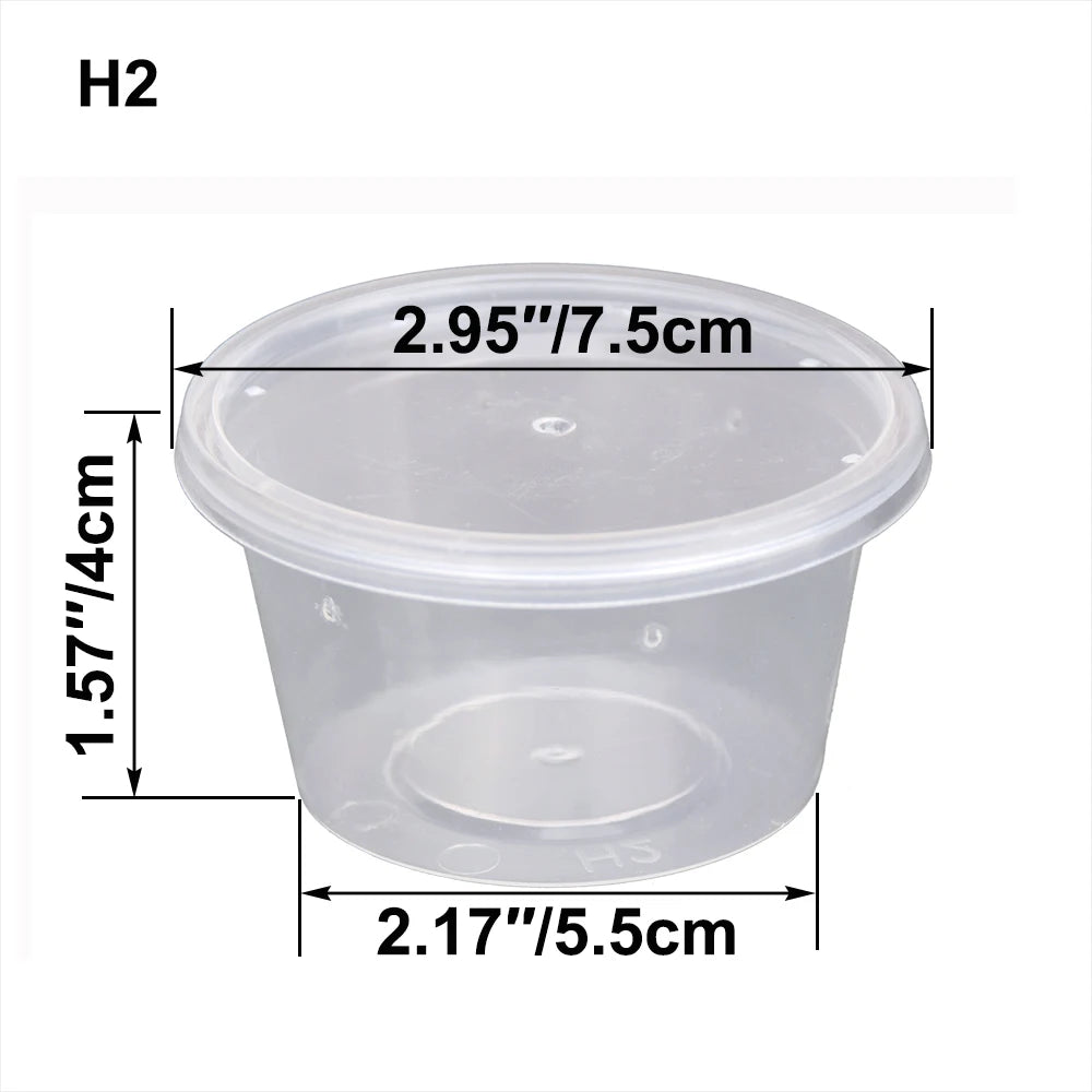 Transparent Plastic Reptile Feeding Box Portable Terrarium Habitat Cage