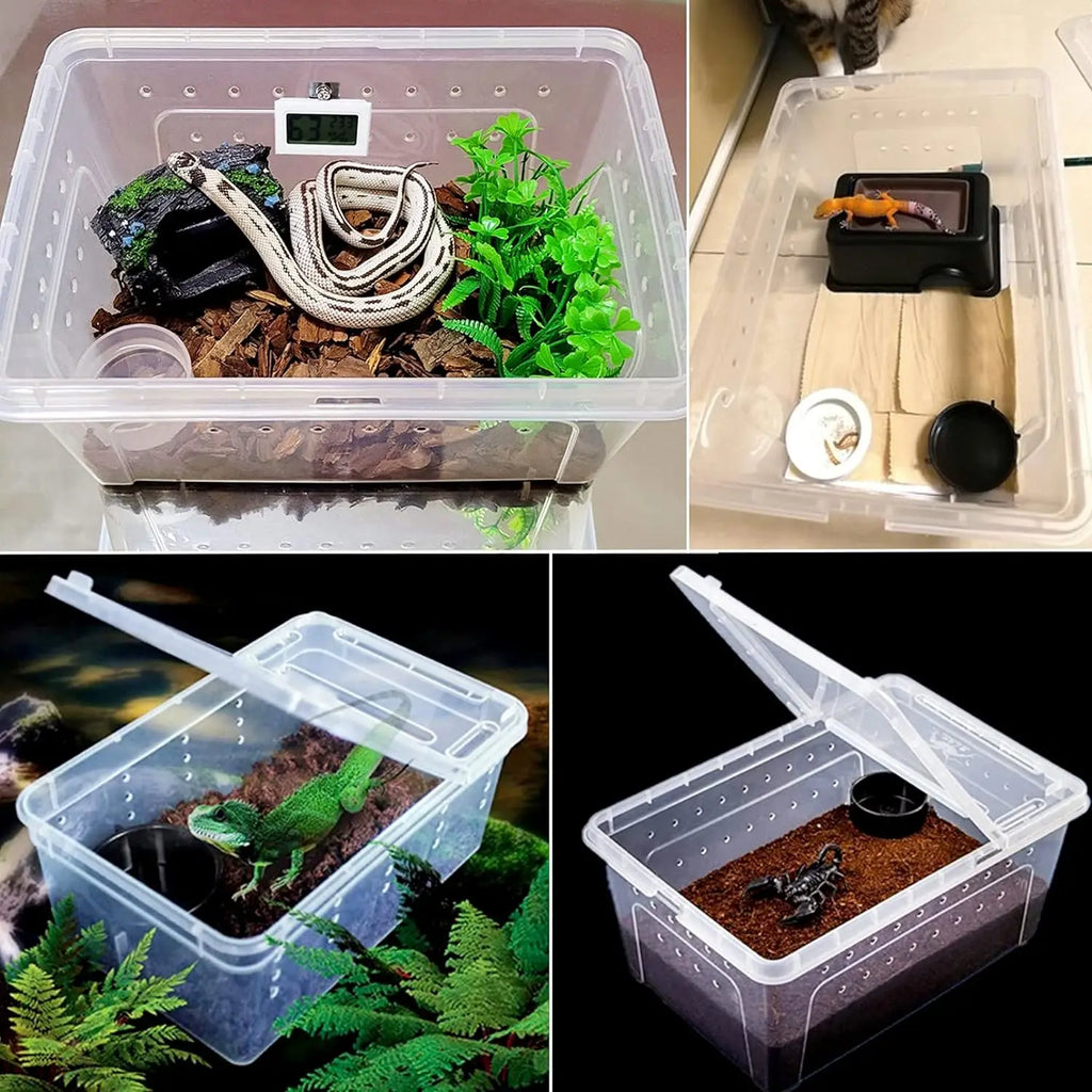 Transparent Plastic Reptile Feeding Box Portable Terrarium Habitat Cage