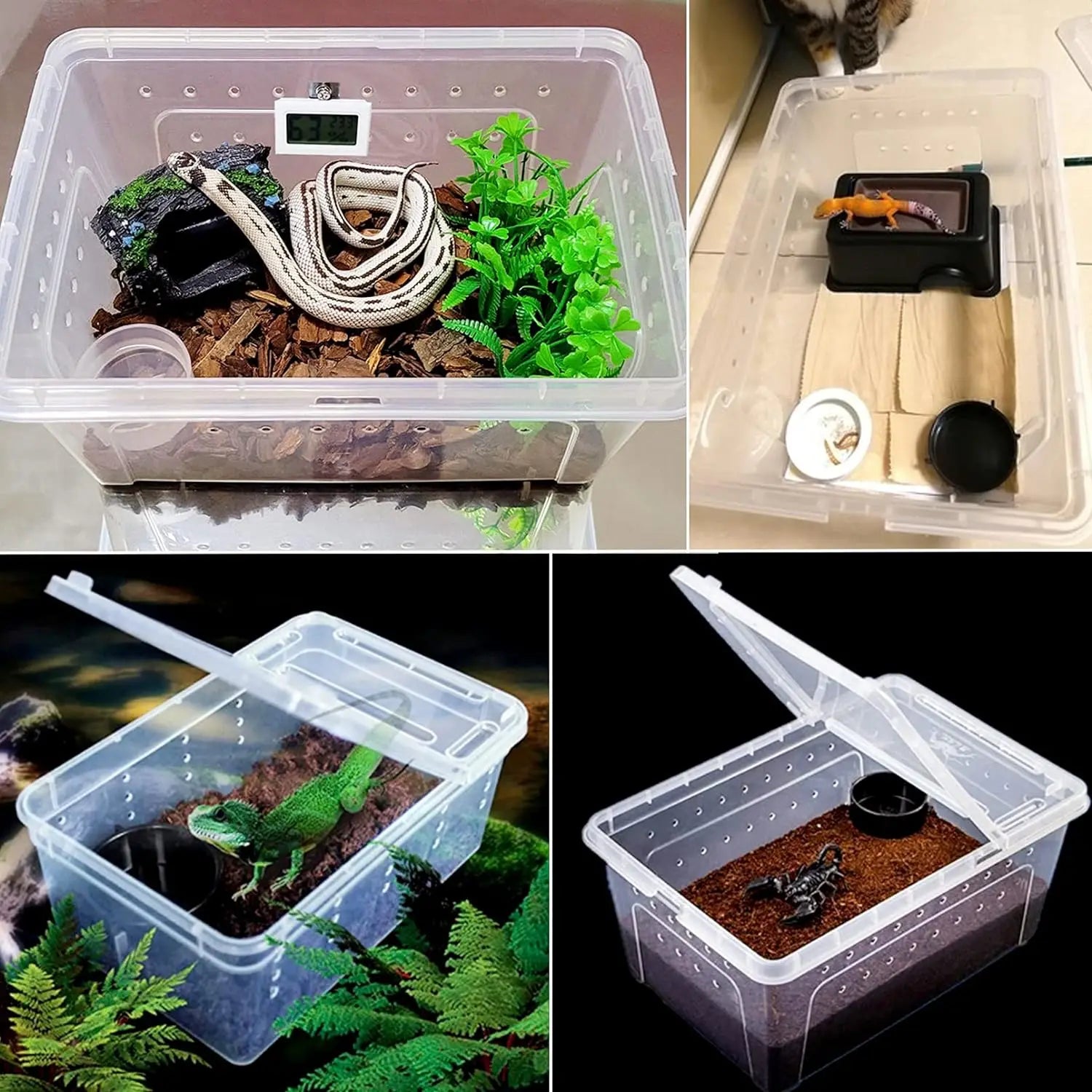 Transparent Plastic Reptile Feeding Box Portable Terrarium Habitat Cage