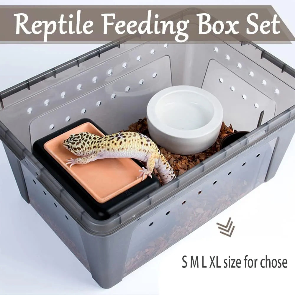 Transparent Plastic Reptile Feeding Box Portable Terrarium Habitat Cage