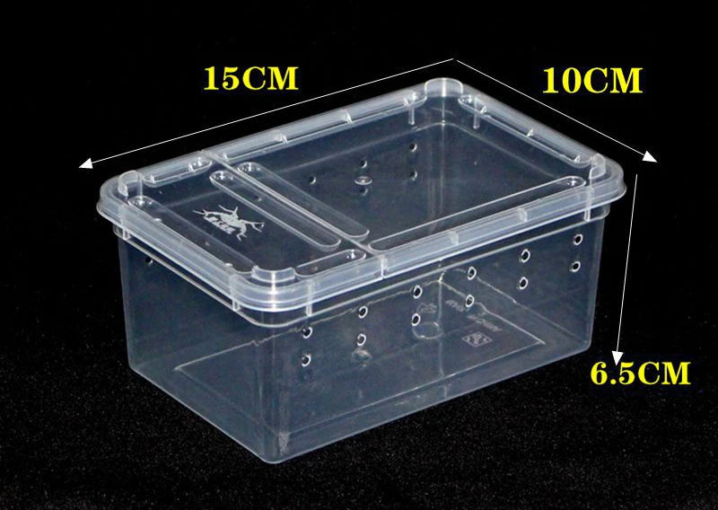 Simple Plastic Reptile Breeding Box Terrarium 20x20x25cm