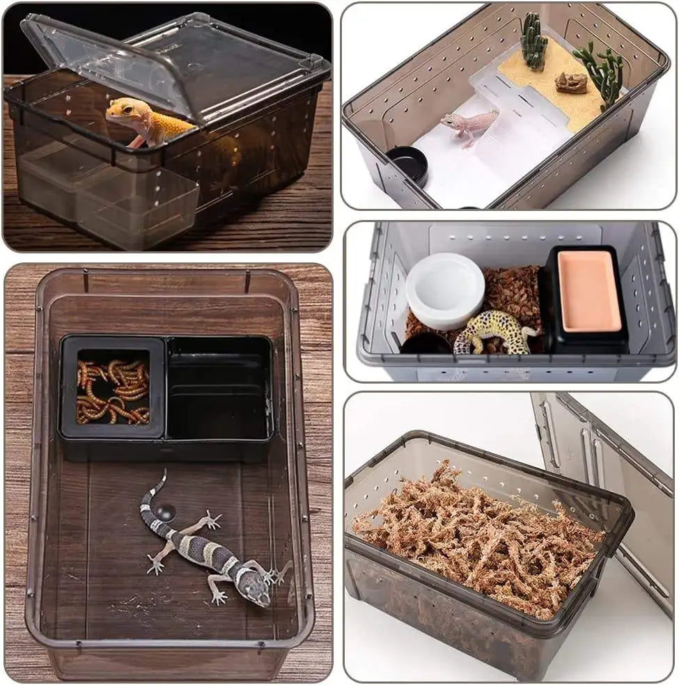 Stackable Reptile Plastic Ventilated Box Small Breeding Box for Tarantulas Hermit Crabs
